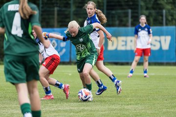 Bild 212 - wBJ HSV Leistungsvergleich